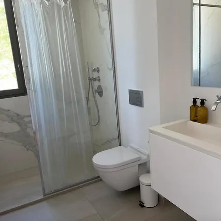 Contemporary With Sea View, Infinity Swimming Pool, Gym , Cinema Room,lift Villa Nizza