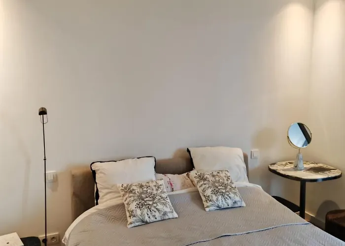 Contemporary With Sea View, Infinity Swimming Pool, Gym , Cinema Room,lift فيلة نيس